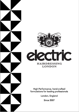 Electric Technical Brief - Electric Hair